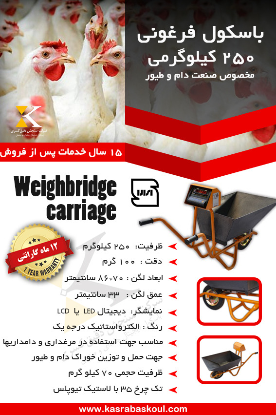 خرید باسکول فرقونی تک چرخ ۲۵۰ کیلویی با طراحی سبک